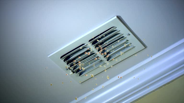 Best Best Air Duct Cleaning Company  in Basehor, KS