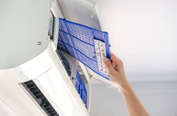 Best Local Air Duct Cleaning Services  in Basehor, KS