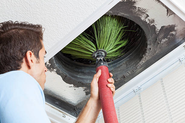 Best HVAC Maintenance and Cleaning  in Basehor, KS