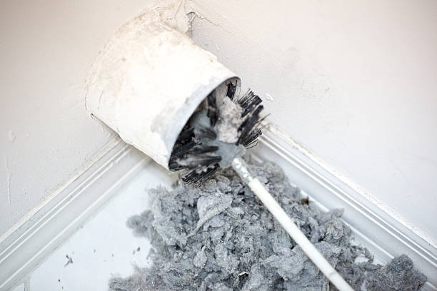 Best HVAC Duct Inspection Services  in Basehor, KS