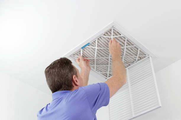 Best Affordable Air Duct Cleaning  in Basehor, KS